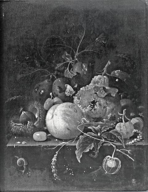 Sotheby's — Mignon Abraham - sec. XVII - Natura morta con frutta e insetti — insieme